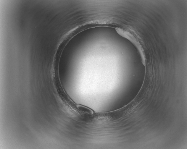 X0000071350536200607071726