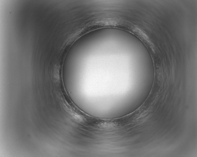 X0000071350537200607071726