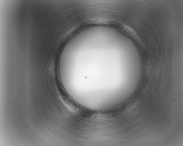 X0000071350538200607071726