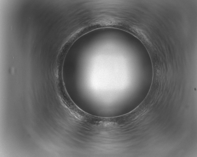 X0000071350539200607071726