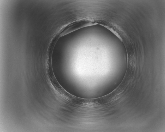 X0000071350540200607071726