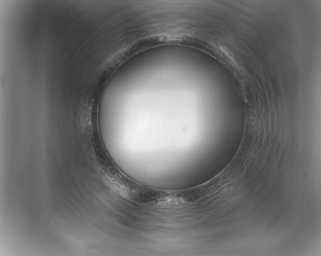 X0000071350543200607071727