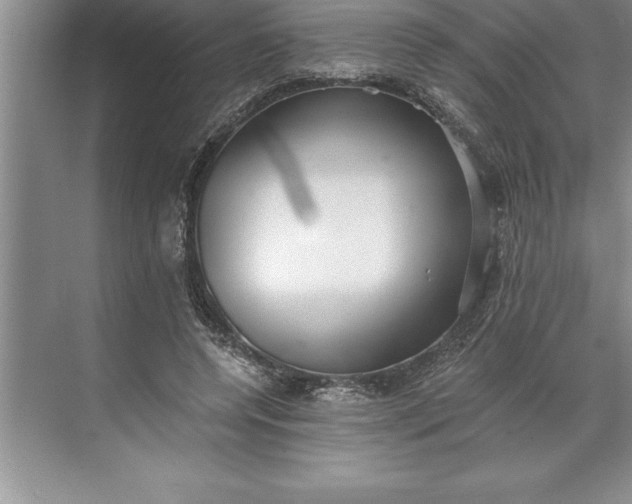 X0000071350544200607071727