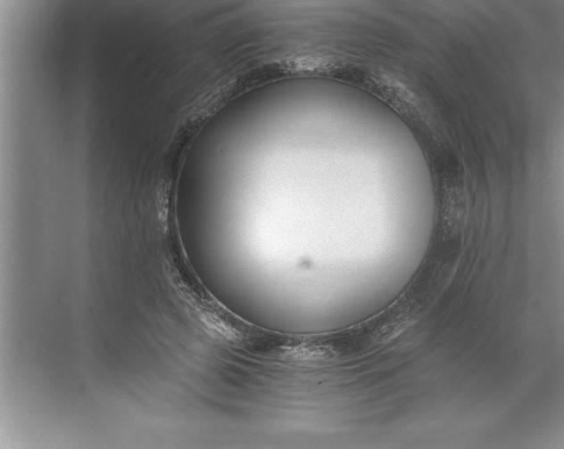 X0000071350545200607071727