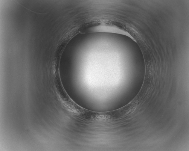 X0000071350546200607071727