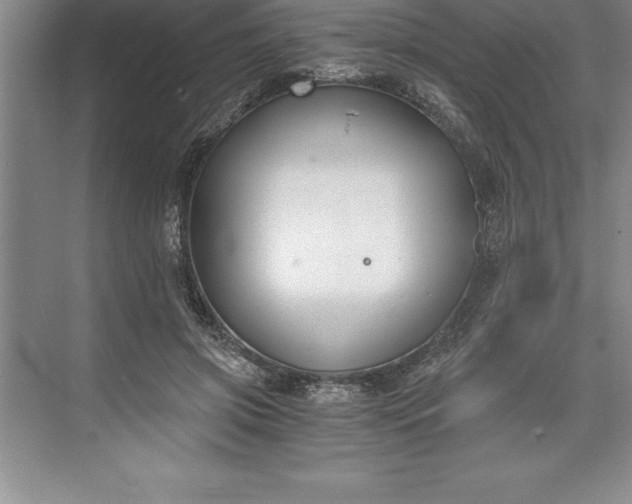 X0000071350549200607071727