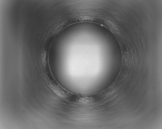 X0000071350550200607071727