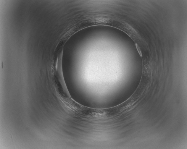 X0000071350552200607071727