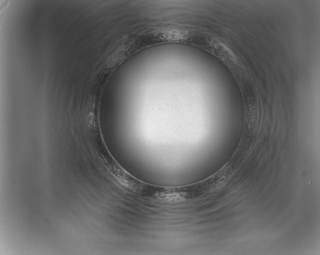 X0000071350553200607071727