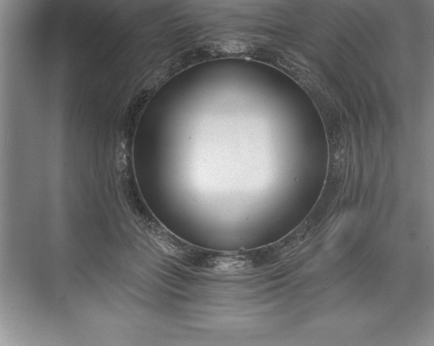 X0000071350555200607071727