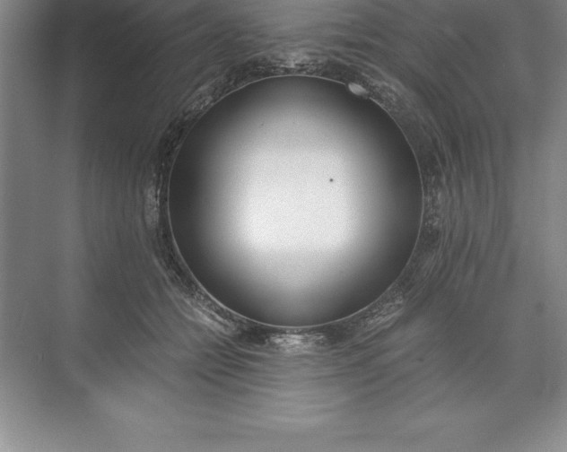 X0000071350558200607071727