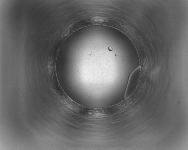 X0000071350559200607071727