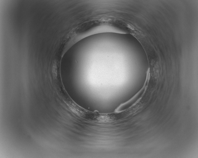 X0000071350562200607071727