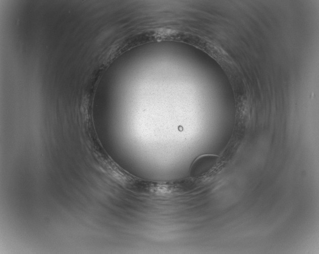 X0000071350565200607071727