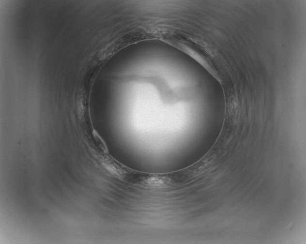 X0000071350566200607071727