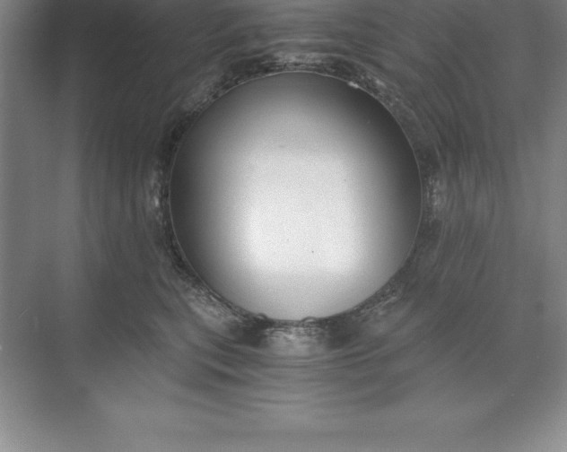 X0000071350567200607071727