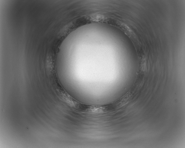 X0000071350569200607071727