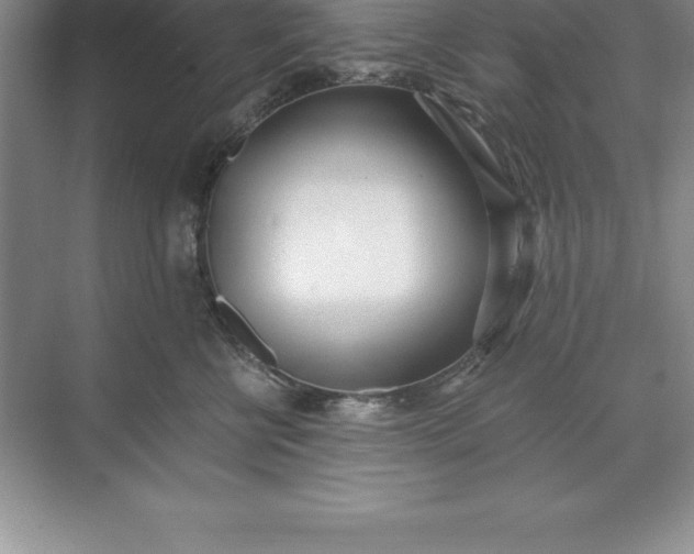 X0000071350570200607071727