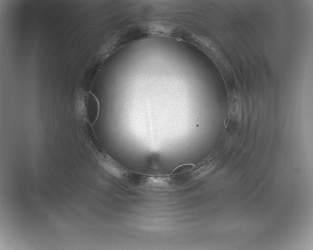 X0000071350573200607071727