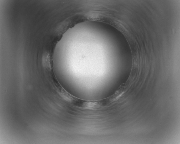 X0000071350575200607071727