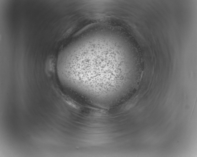 X0000071350576200607071727