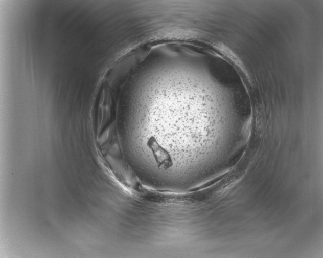 X0000071350581200607071726