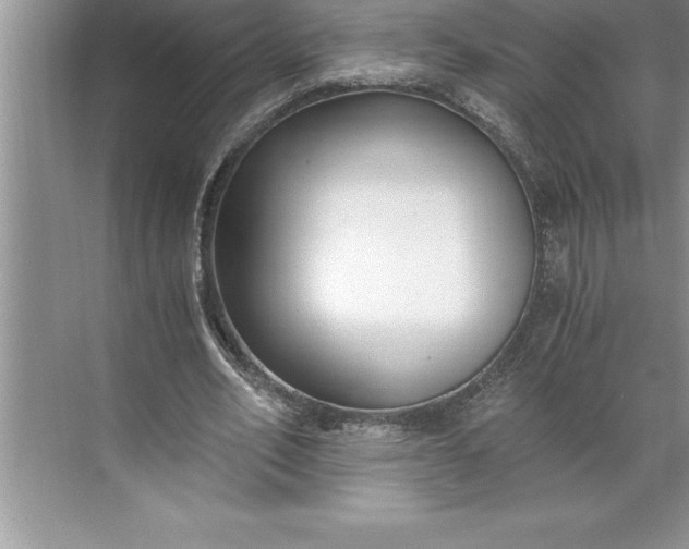 X0000071350582200607071726