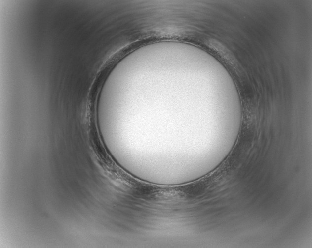 X0000071350583200607071726