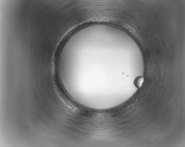 X0000071350584200607071726