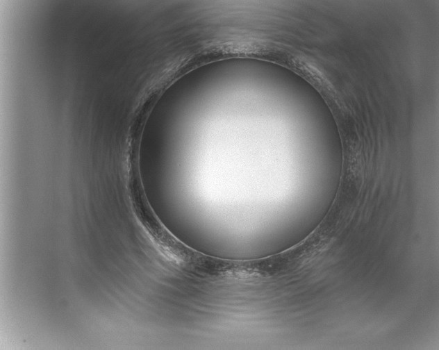 X0000071350586200607071726