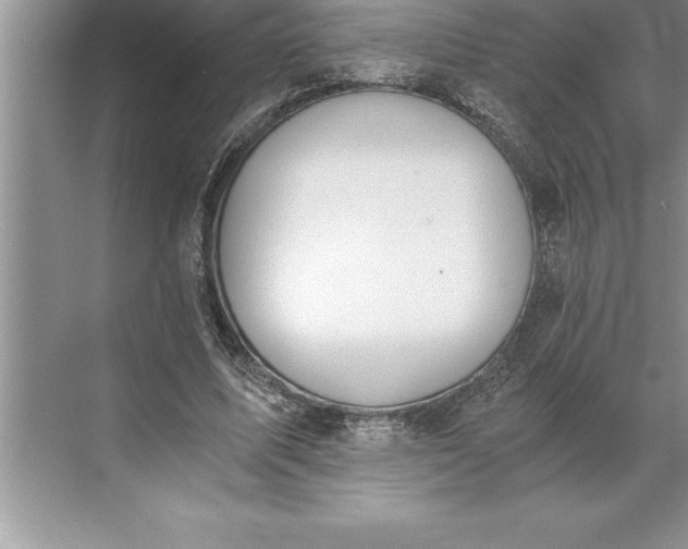 X0000071350587200607071726