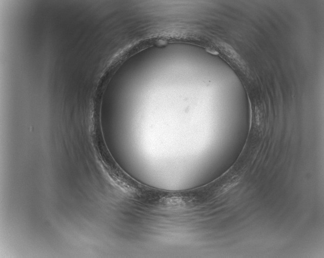 X0000071350588200607071726