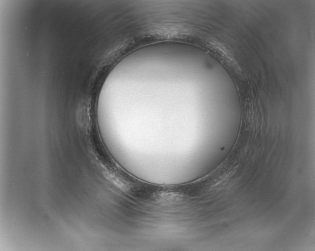 X0000071350590200607071726