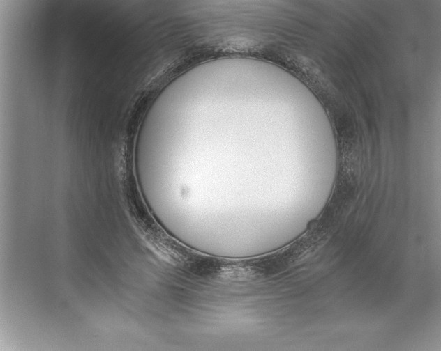 X0000071350591200607071726