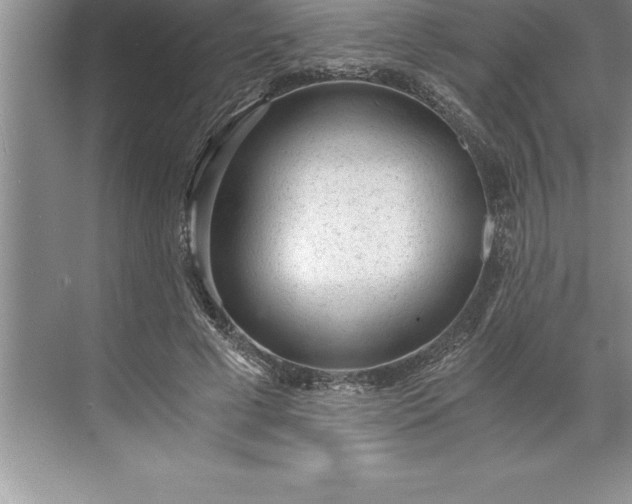 X0000071350593200607071726