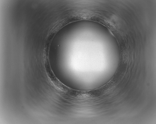 X0000071350594200607071726