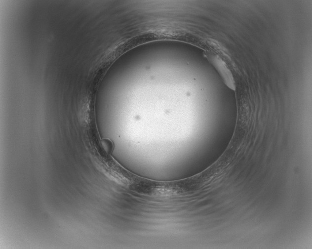 X0000071350596200607071726