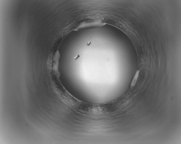 X0000071350600200607071726