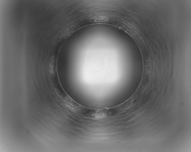 X0000071350604200607071726