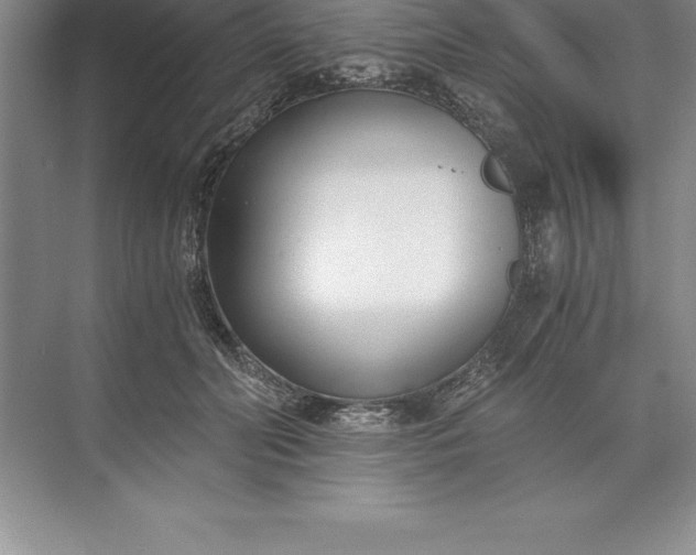 X0000071350606200607071726