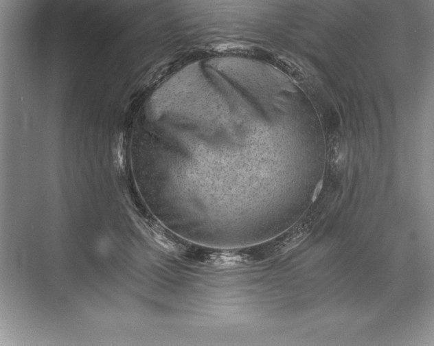 X0000071350607200607071726