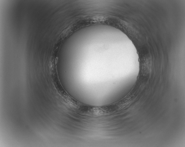 X0000071350608200607071726