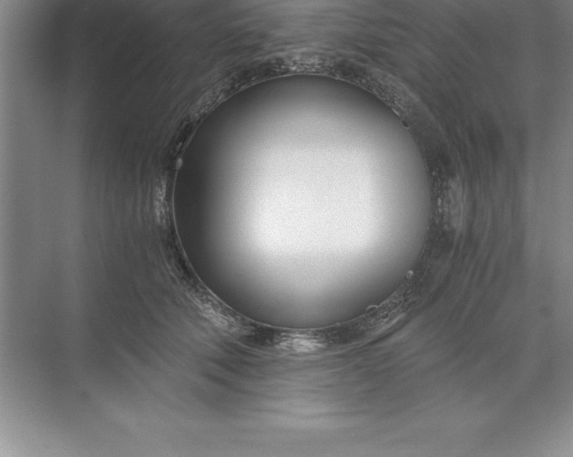 X0000071350610200607071726