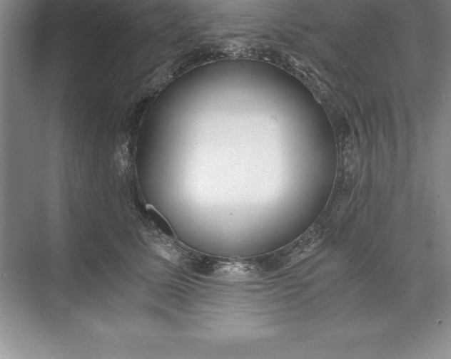 X0000071350611200607071726