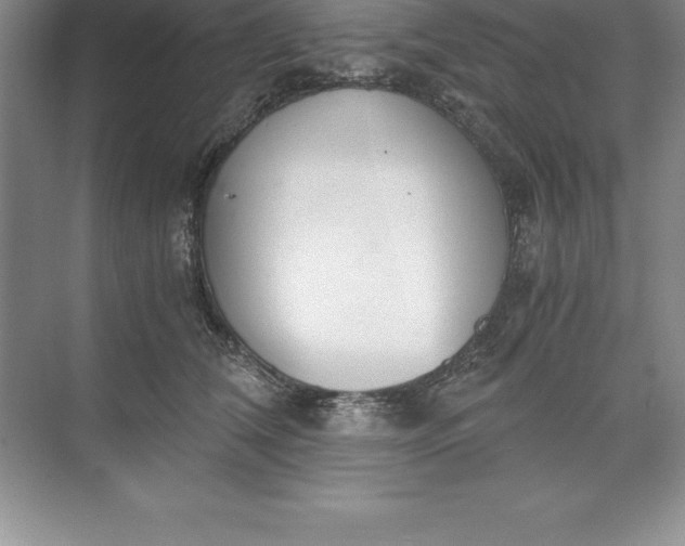 X0000071350612200607071726