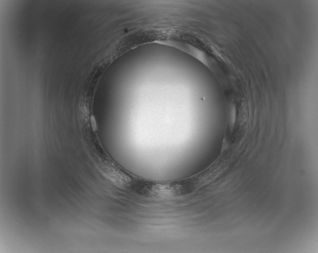 X0000071350613200607071726