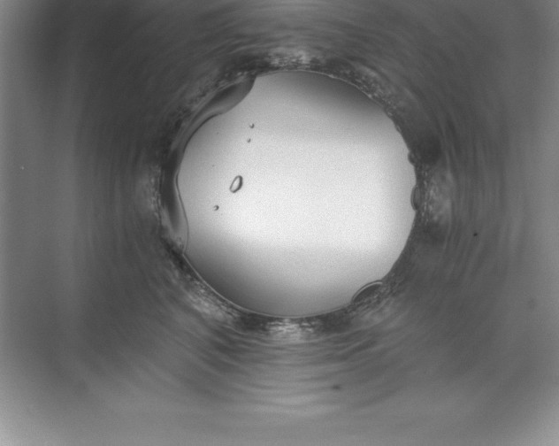 X0000071350616200607071726