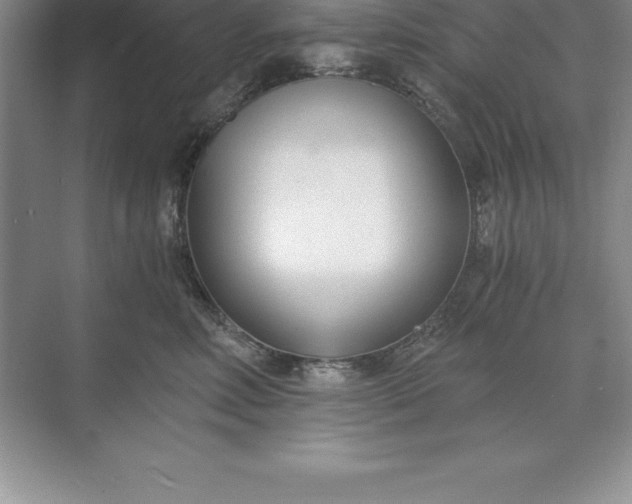 X0000071350618200607071726