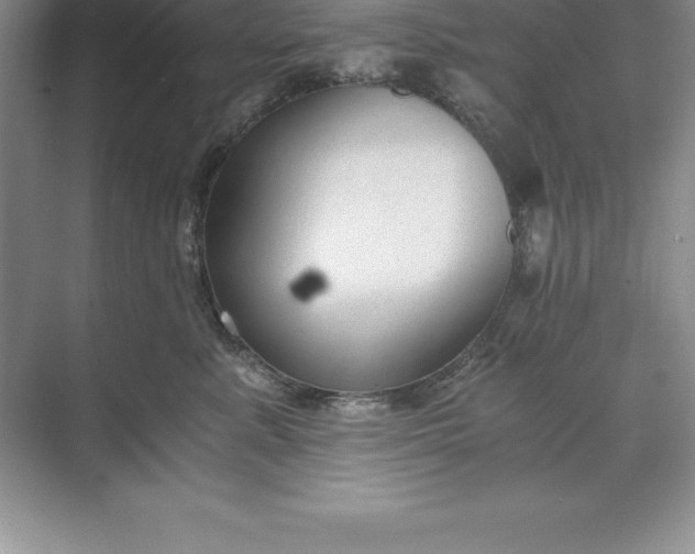 X0000071350619200607071726