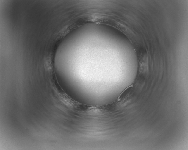 X0000071350620200607071726